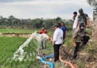 Program Pompanisasi Antisipasi Darurat Pangan Melanda Sejumlah Negara