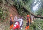 Petugas Gabungan Evakuasi Pohon Tumbang di Kandangserang