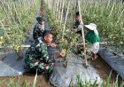 Keberadaan Food Estate di Lahan Aset TNI AU di Cianjur Mendapat Respons Positif  Masyarakat