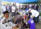 Idul Adha 1444 H, Kumham Kalsel Sholat Idul Adha dan Pemotongan Hewan Kurban