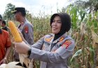 Keberhasilan Program Ketahanan Pangan Nasional: Sinergi Kolaboratif Menuju Swasembada Jagung 2025