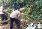 Polri bersama Warga Evakuasi Pohon Tumbang di Lebakbarang
