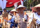 Kapolres Kampar Panen Raya Jagung:  Wujud Dukungan Nyata untuk Ketahanan Pangan Nasional