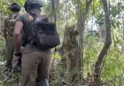 Kontak Tembak di Nabire, Aparat Kuasai Markas DPO KKB dan Amankan 561 Butir Amunisi