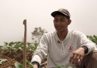 Petani Sayur di Boyolali Tersenyum Berkat MBG, Harga Naik dan Permintaan Meningkat