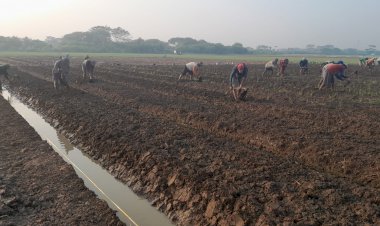 Poktan Binaan Korem 051/Wijayakarta  Penggemburan Tanah di Lahan Urban Farming