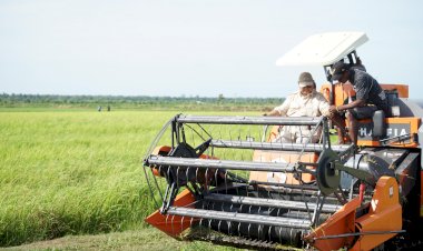 Mentan Amran: Pemerintah Siap Bangun Irigasi Tersier dan Benih Gratis Untuk Petani Membangun Pertanian Modern