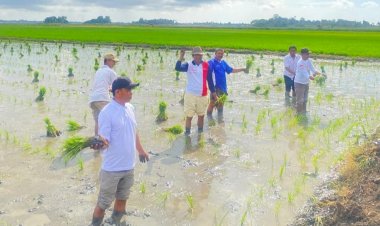 Wamentan: Penyederhanaan Alur Distribusi Pupuk Bersubsidi Langkah Konkret Presiden Prabowo Subianto Mewujudkan Janjinya Kepada Petani