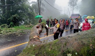 Akses Jalur Medan-Brastagi Terputus, TNI-Polri Bersinergi Lakukan Evakuasi