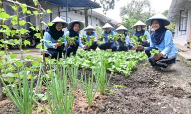 Dukung Program Ketahanan Pangan, Lanud Husein Sastranegara Manfaatkan Lahan Kosong Tanam Sayuran