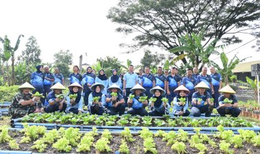 Danlanud Husein Sastranegara: Penanaman Alpukat dan Panen Berbagai Jenis Sayuran, Meningkatkan Ketersediaan Pangan Sehat dan Berkualitas