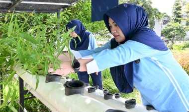 PIA Ardhya Garini Cabang 4/D.I Lanud Husein Sastranegara Panen Kangkung Hasil Budidaya Hidroponik