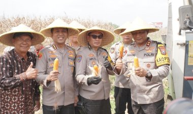 Kapolda Jatim Pimpin Panen Raya Jagung Hibrida di Sidoarjo