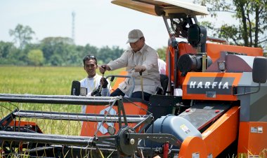 Presiden Mengaku Bahagia, Kehadiran dan Kerja Keras Pemerintah Menyuguhkan Pangan Pokok Terjangkau Bagi Rakyat Indonesia