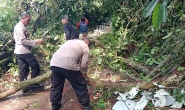 Polri bersama Warga Evakuasi Pohon Tumbang di Lebakbarang