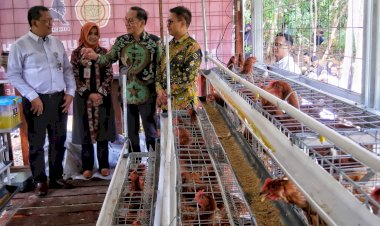 Kandang ‘Merah Putih’ Charoen Pokphand Indonesia Bantu Masyarakat Disabilitas