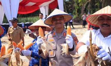 Kapolres Kampar Panen Raya Jagung:  Wujud Dukungan Nyata untuk Ketahanan Pangan Nasional