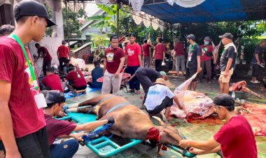 Masjid Jami Al Hidayah Bintara Sembelih Hewan Qurban 5 Ekor Sapi dan 42 Ekor Kambing