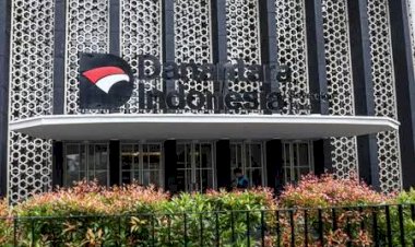 Pemerintah Dorong Danantara Kolaborasi Dengan Temasek Garap Energi Hijau
