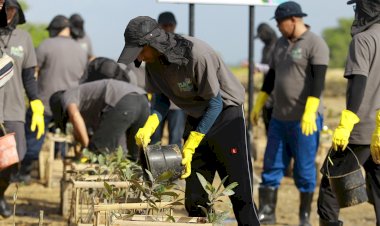 Kolaborasi Lintas Instansi, PLN UP2B Bali Hijaukan Pesisir Tanjung Benoa Melalui Penanaman Mangrove