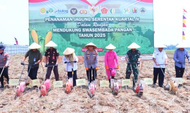 Wujud Nyata Dukung Swasembada Pangan, Penanaman Jagung Serentak Kuartal IV di Pekalongan