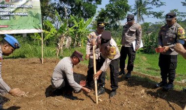 Kapolres Salatiga Pimpin Tanam Jagung Serentak Kuartal Ke-IV