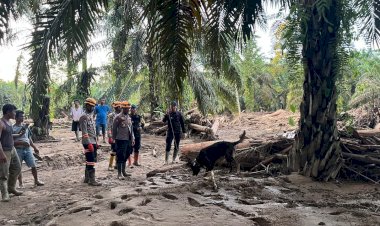 Tim K9 Ditpolsatwa Baharkam Polri Bantu Pencarian Korban Bencana di Bantaran Sungai Huta Raja