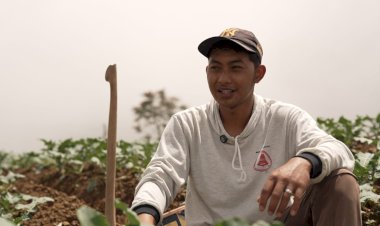 Petani Sayur di Boyolali Tersenyum Berkat MBG, Harga Naik dan Permintaan Meningkat