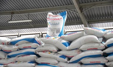 Di Tengah Krisis Pupuk Global, Prabowo Justru Pangkas Harga 20% untuk Petani