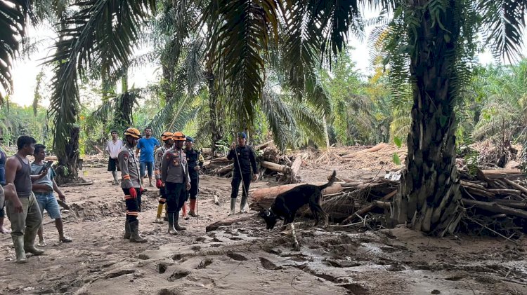 Tim K9 Ditpolsatwa Baharkam Polri Bantu Pencarian Korban Bencana di Bantaran Sungai Huta Raja