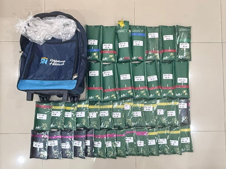 Polda Metro Bongkar Modus Kirim Ganja Pakai Paket Online, Sita 2,3 Kg Barang Bukti